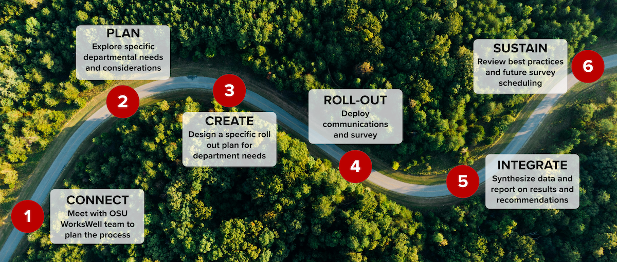 roadmap-to-success